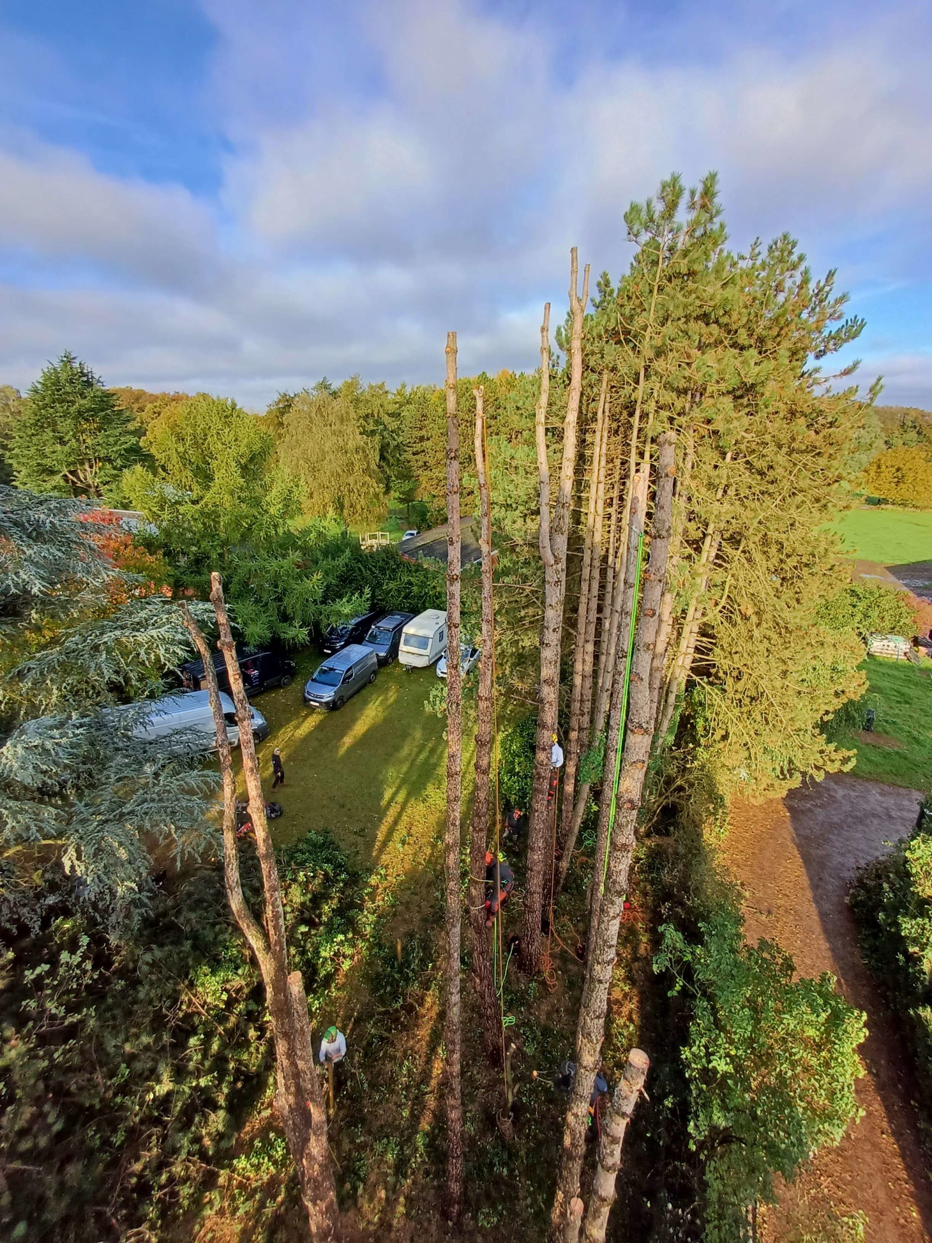 Foto van werkmannen in bomen vanuit een boomtop - Boomverzorging en onderhoud